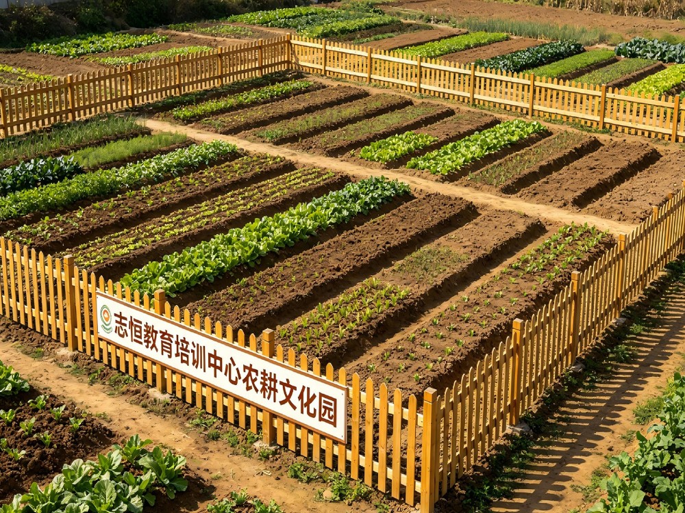 拉萨叛逆孩子改变学校怎么选?从办学资质到教育模式的全方位解析